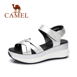 Camel/骆驼 A72504682