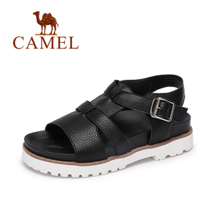 Camel/骆驼 A72296607