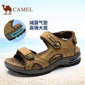 Camel/骆驼 A722307357