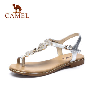 Camel/骆驼 A72504693