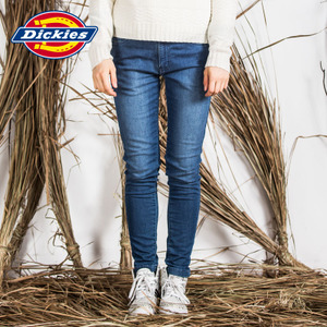 Dickies 153W40WD09