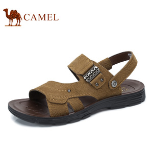 Camel/骆驼 A722211492