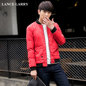 lancelarry 229-8817