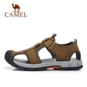 Camel/骆驼 A722396227
