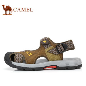 Camel/骆驼 A722396217