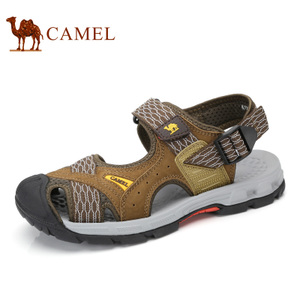 Camel/骆驼 A722396217