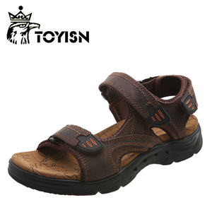 Toyisn/淘易森 TYS-9831