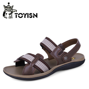Toyisn/淘易森 TYS-9896