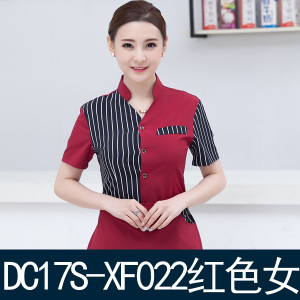 DC17S-XF017-022