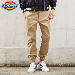 Dickies 161M40WD02