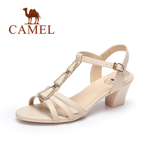 Camel/骆驼 A72504679