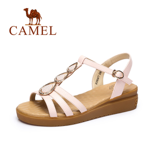 Camel/骆驼 A72504677
