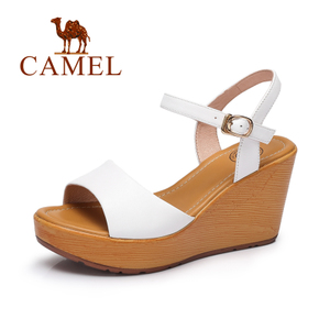 Camel/骆驼 A72007615