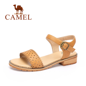 Camel/骆驼 A72296600