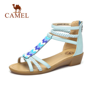 Camel/骆驼 72504670