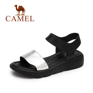 Camel/骆驼 72879605