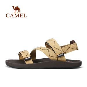 Camel/骆驼 A72300601