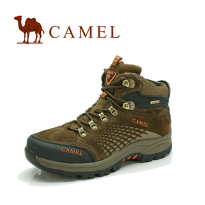 Camel/骆驼 A2330066