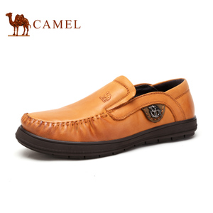 Camel/骆驼 2213074