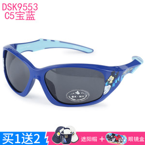 DSK9553