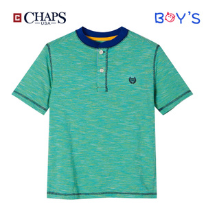 CHAPS 173605