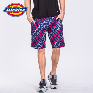 Dickies 172M40WD10