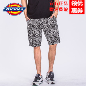 Dickies 171M40WD19