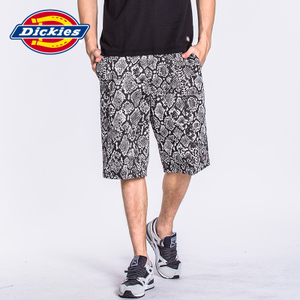 Dickies 171M40WD19