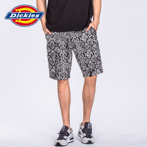 Dickies 171M40WD19