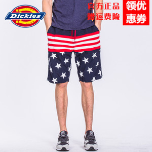 Dickies 172M40WD09