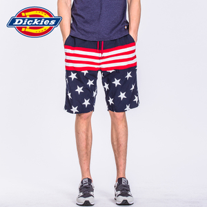 Dickies 172M40WD09