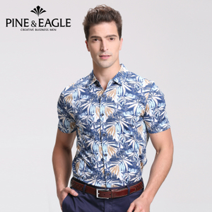 Pine&eagle/松鹰 25246011