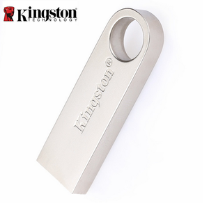 Kingston/金士顿 DTSE9-64G-USB2.0