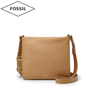 Fossil/化石 ZB5874251