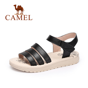 Camel/骆驼 A72007608