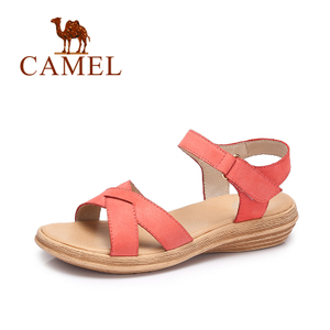 Camel/骆驼 A72053611