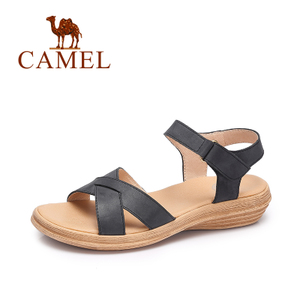 Camel/骆驼 A72053611