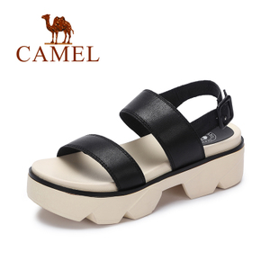 Camel/骆驼 A72035601
