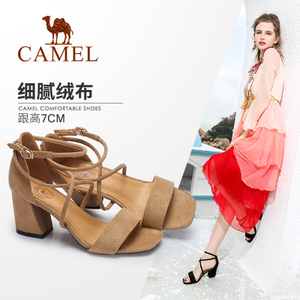 Camel/骆驼 A72501603