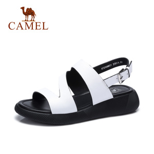 Camel/骆驼 A72009601