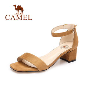 Camel/骆驼 A72514604