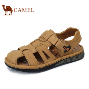 Camel/骆驼 A722344462