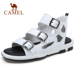 Camel/骆驼 A722299052