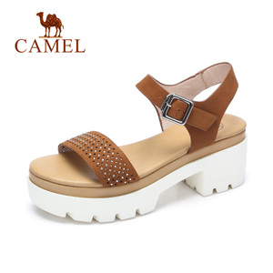 Camel/骆驼 A72054619