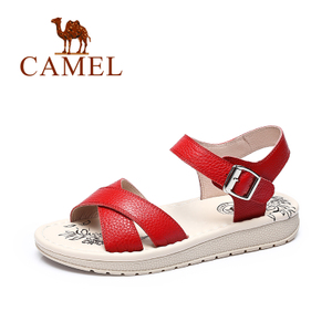 Camel/骆驼 A72007609