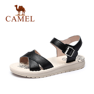 Camel/骆驼 A72007609