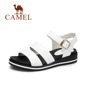 Camel/骆驼 A72515606