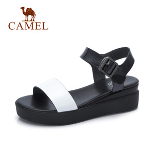 Camel/骆驼 A72054621