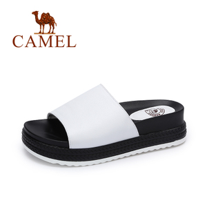 Camel/骆驼 A72515604