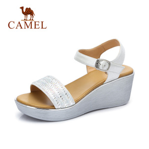 Camel/骆驼 A72153683